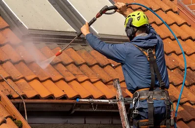 Démoussage et hydrofuge de toiture à Speloncato